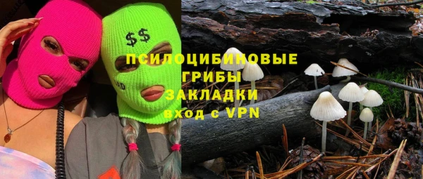 марки nbome Белокуриха