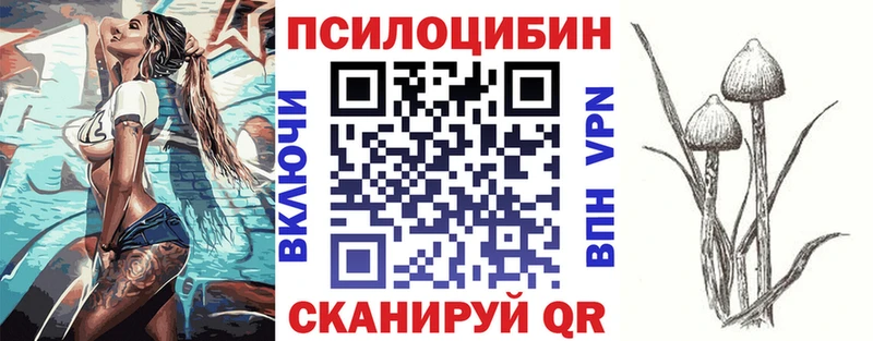 Галлюциногенные грибы Psilocybe  Купить где  Свободный 
